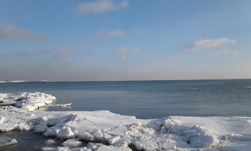 Температура азовского моря в мае. Азовское море зимой. Море в Мариуполе зимой. Азовское море зимой замерзает. Азовское море в январе.